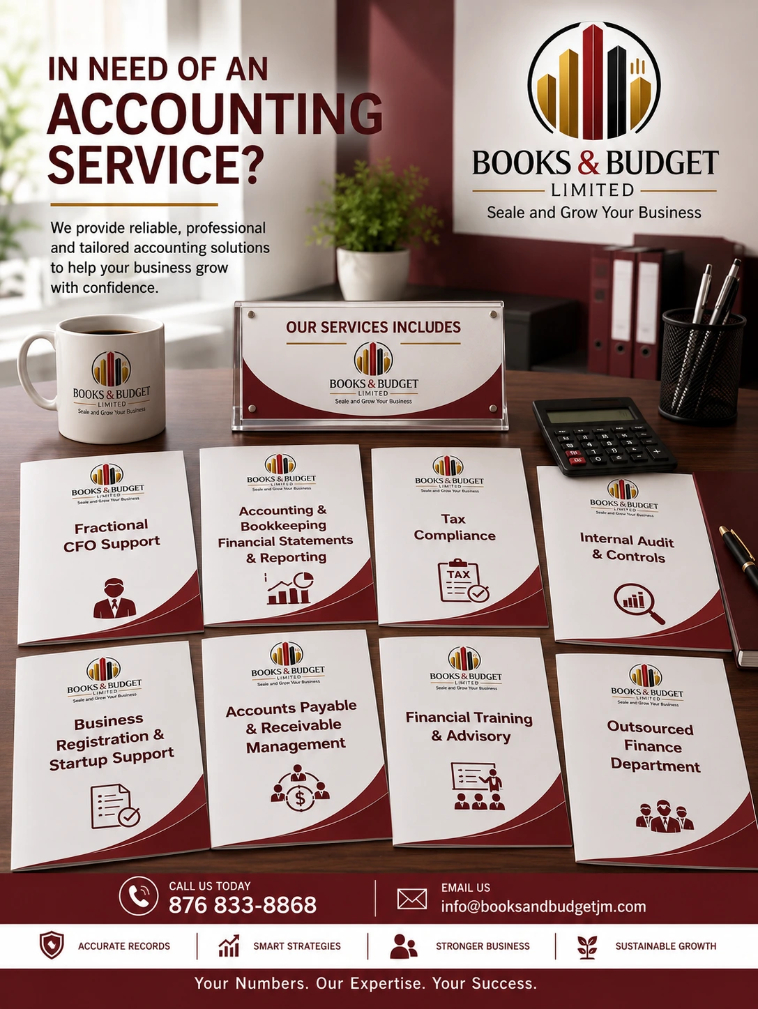 Professional Accounting Team